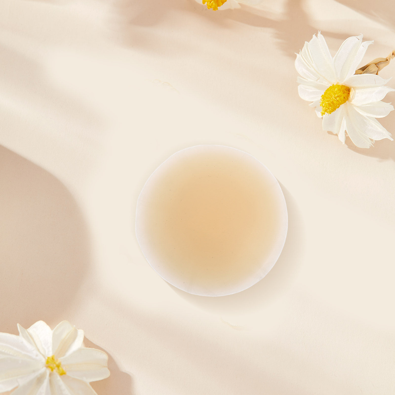 1 paio di copricapezzoli invis - Nipple Cover Pasties recensione e prezzo